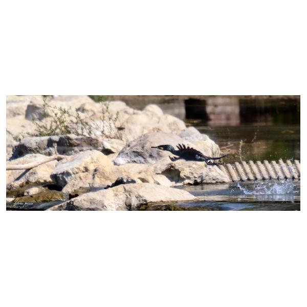 PHOTO84, CLUB, 84 , LUBERON